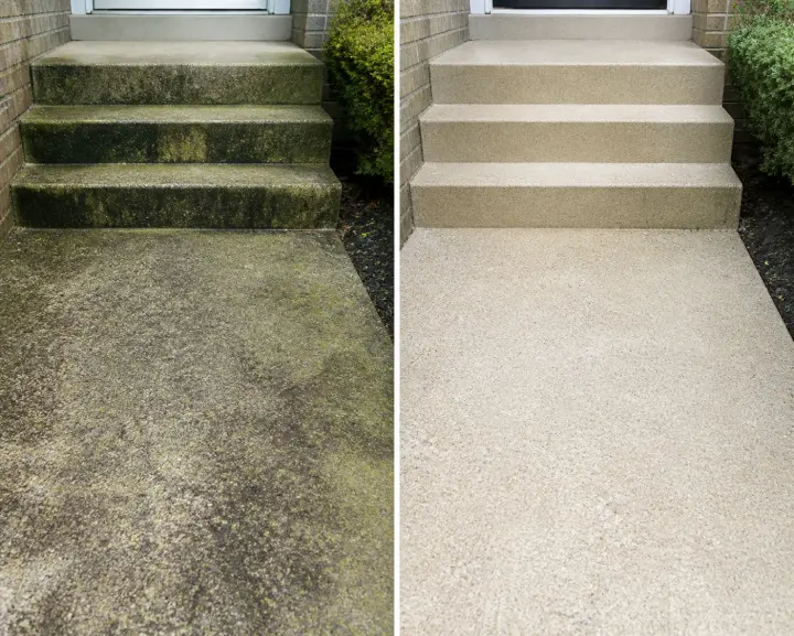 Before and after walkway cleaning result